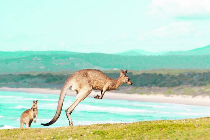 Du Lịch Úc Siêu Khuyến Mại: Sydney - Canberra 5 Ngày Bay Vietnam Airlines